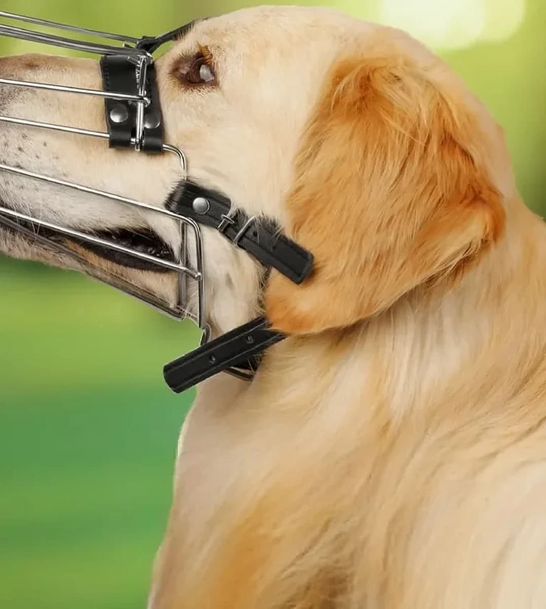 Náhubek pro psy BRONZEDOG, velikost 5 – náhubek na psovi