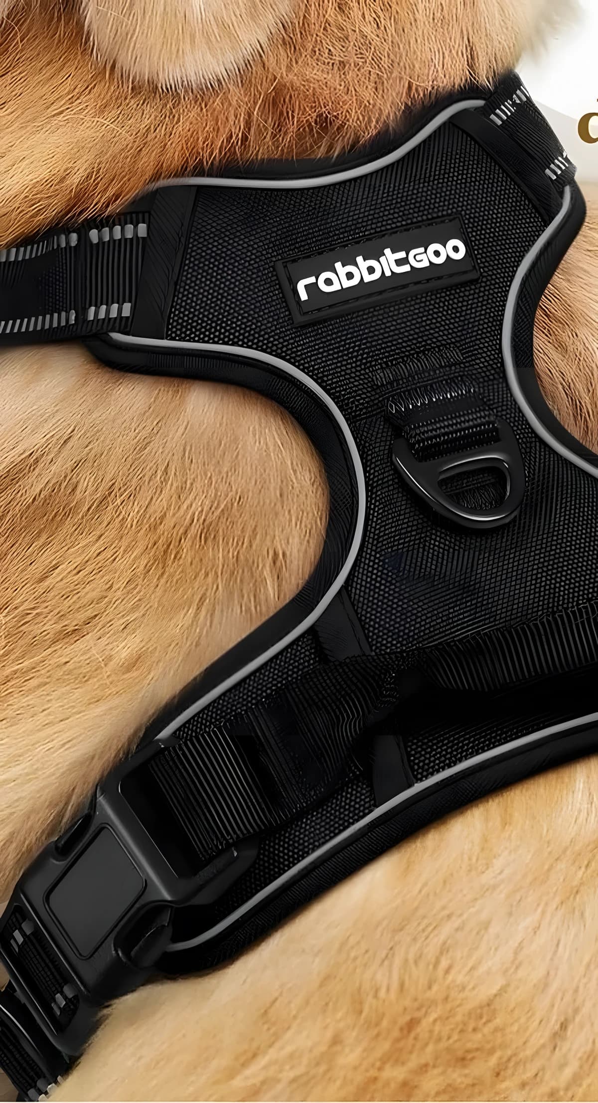 Reflexní postroj pro psy Rabbitgoo, černý, velikost M – měkké polstrování