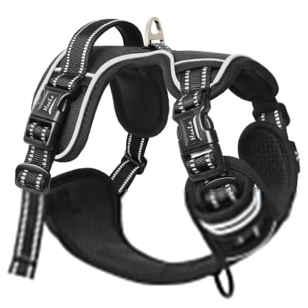 Outlet - Postroj pre psov HEELE XB-SCKK, čierny, veľkosť S