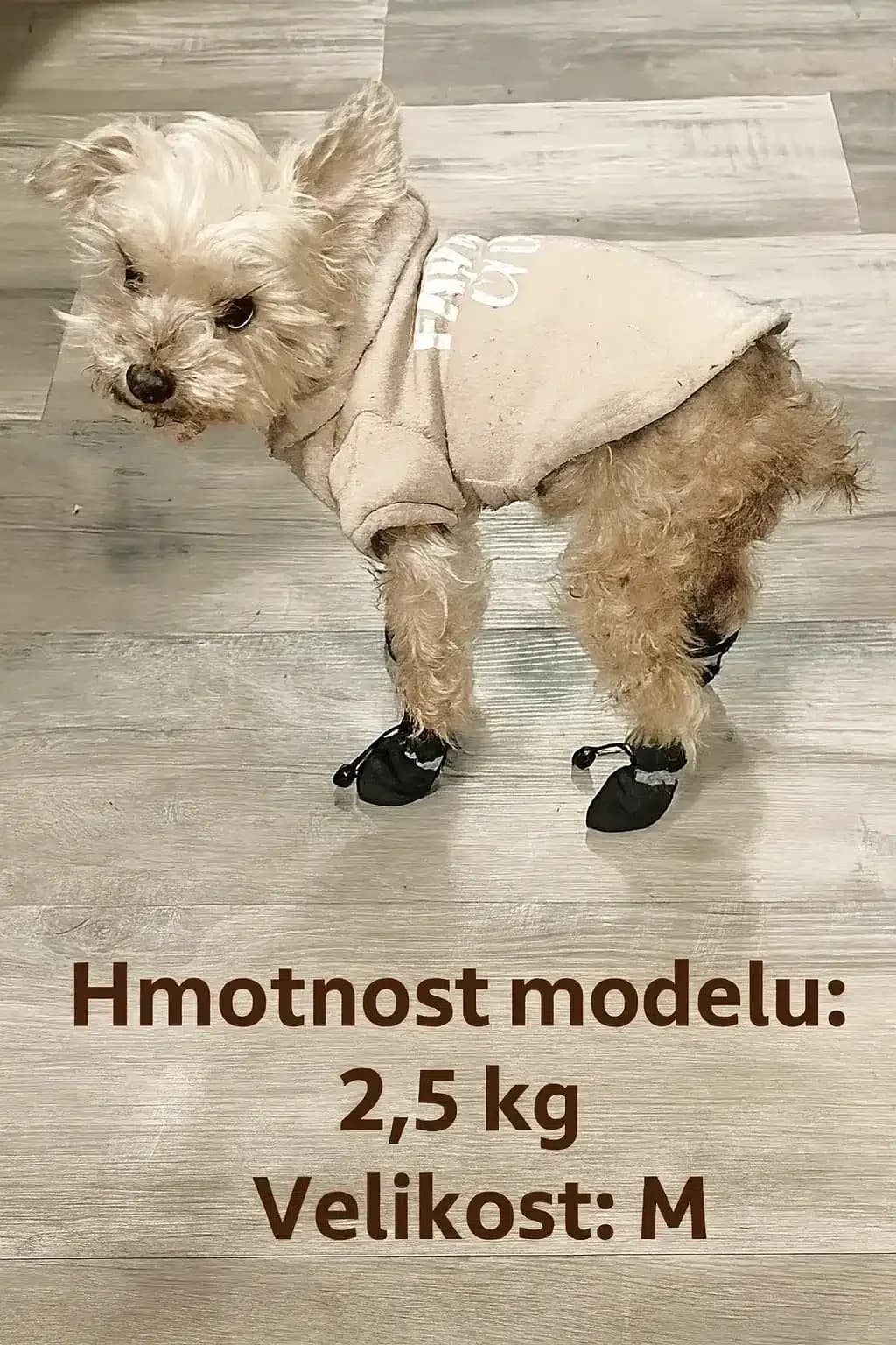 Voděodolné boty pro psy s protiskluzovou podrážkou, 4 ks, S–L