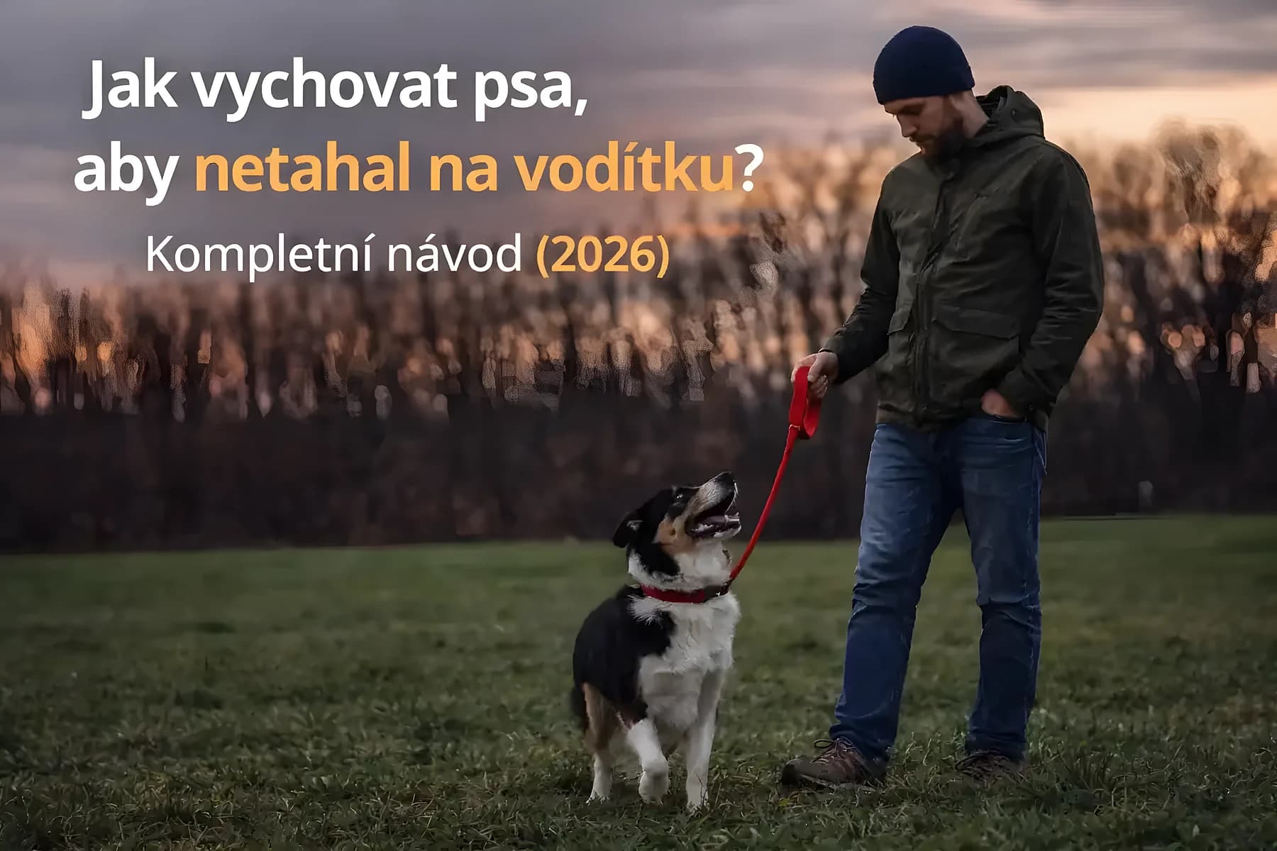 pes neťahá na vodítku správny tréning psa chôdza pri nohe