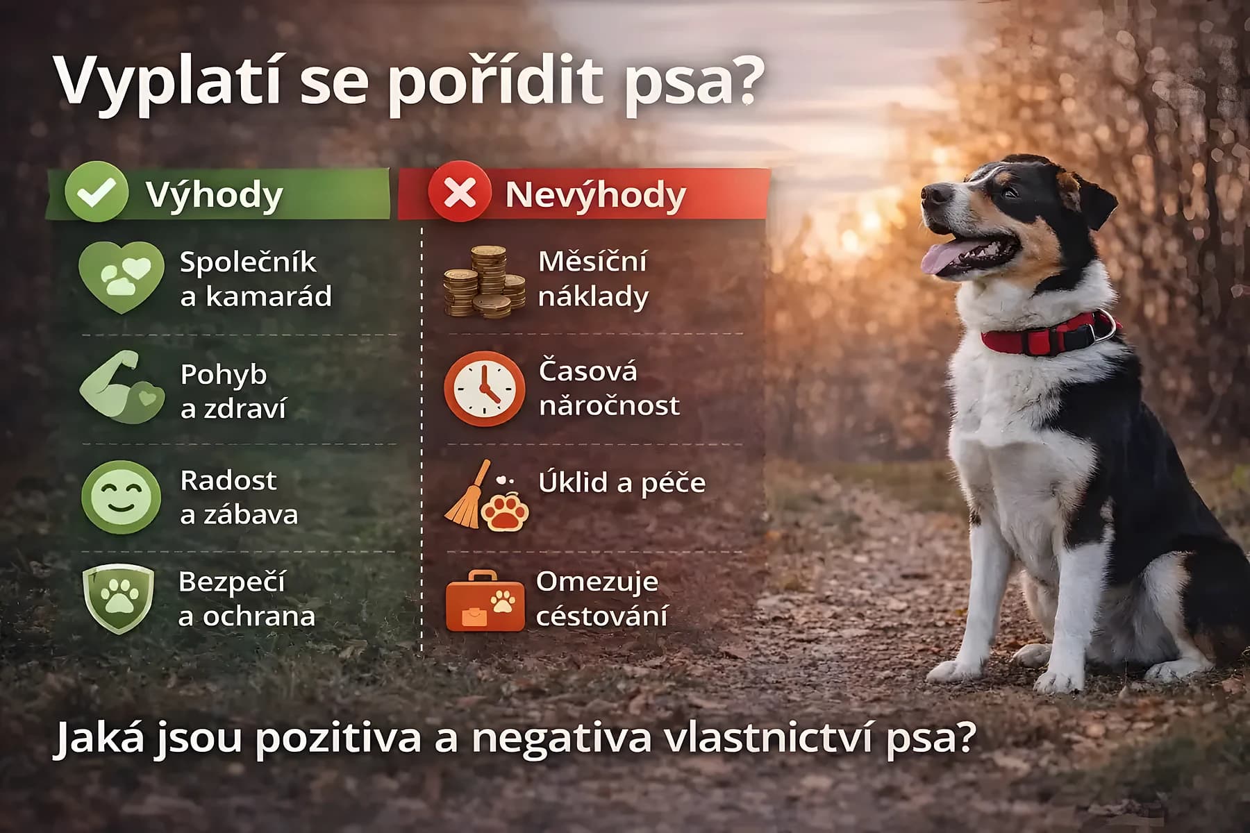 náklady na psa rozpis výdavkov krmivo veterinár vybavenie