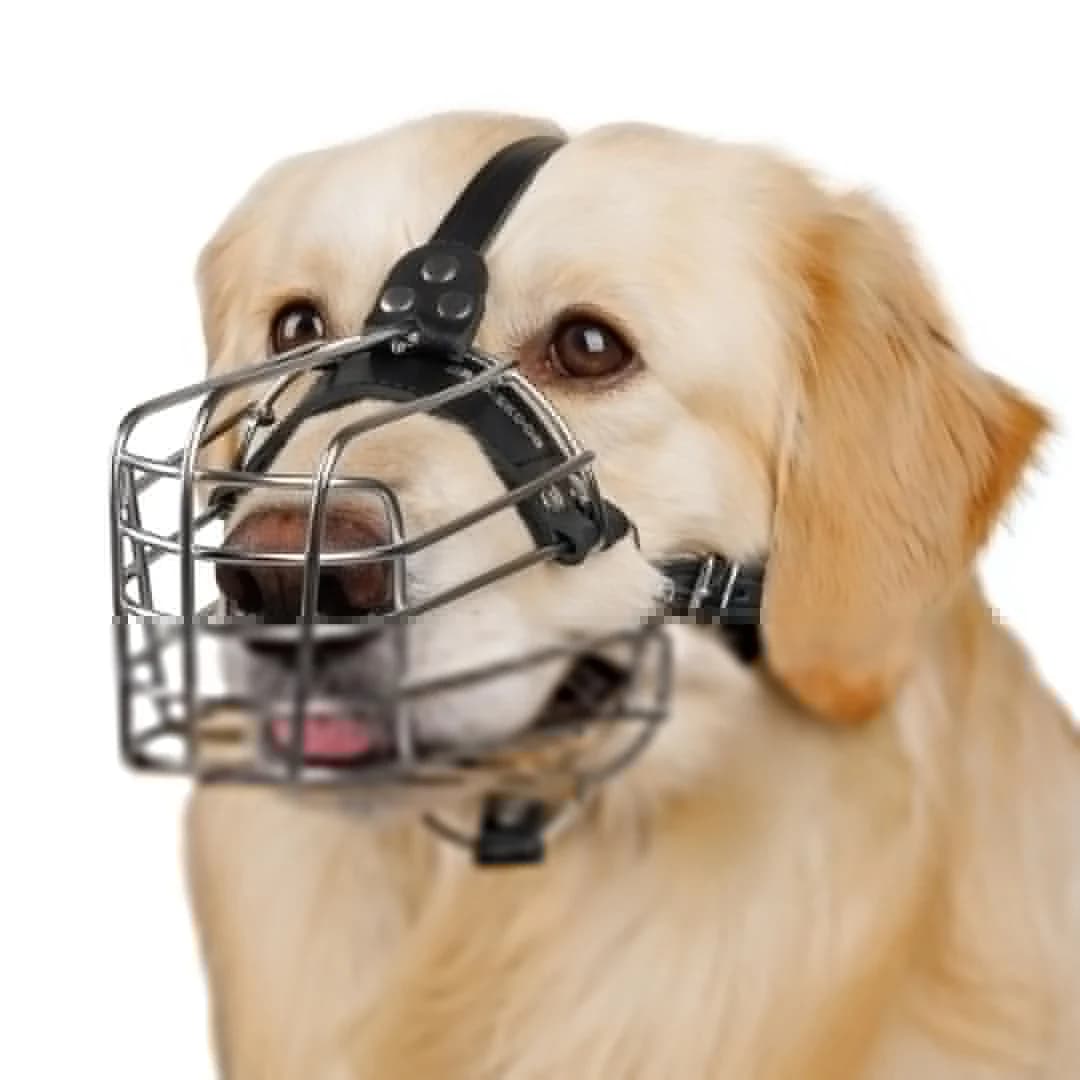 BRONZEDOG náhubok pre psov, veľkosť 5
