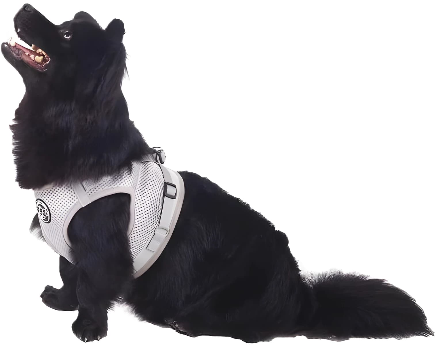 Outlet - Hund&Kutz mäkký postroj pre psov s vodítkom, sivý, veľkosť XL