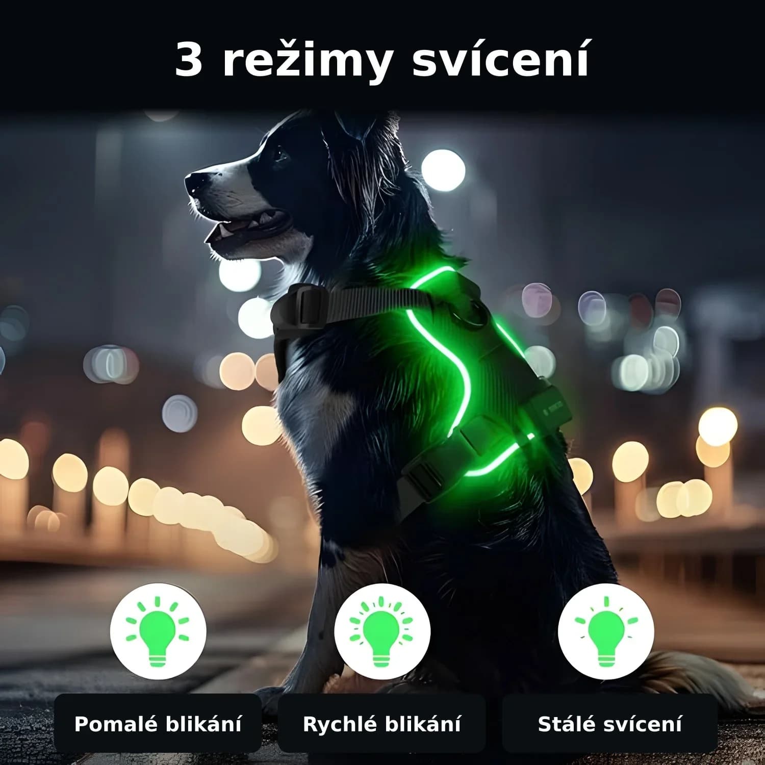Dobíjecí LED svítící postroj pro psy Feycig, černý, velikost XL