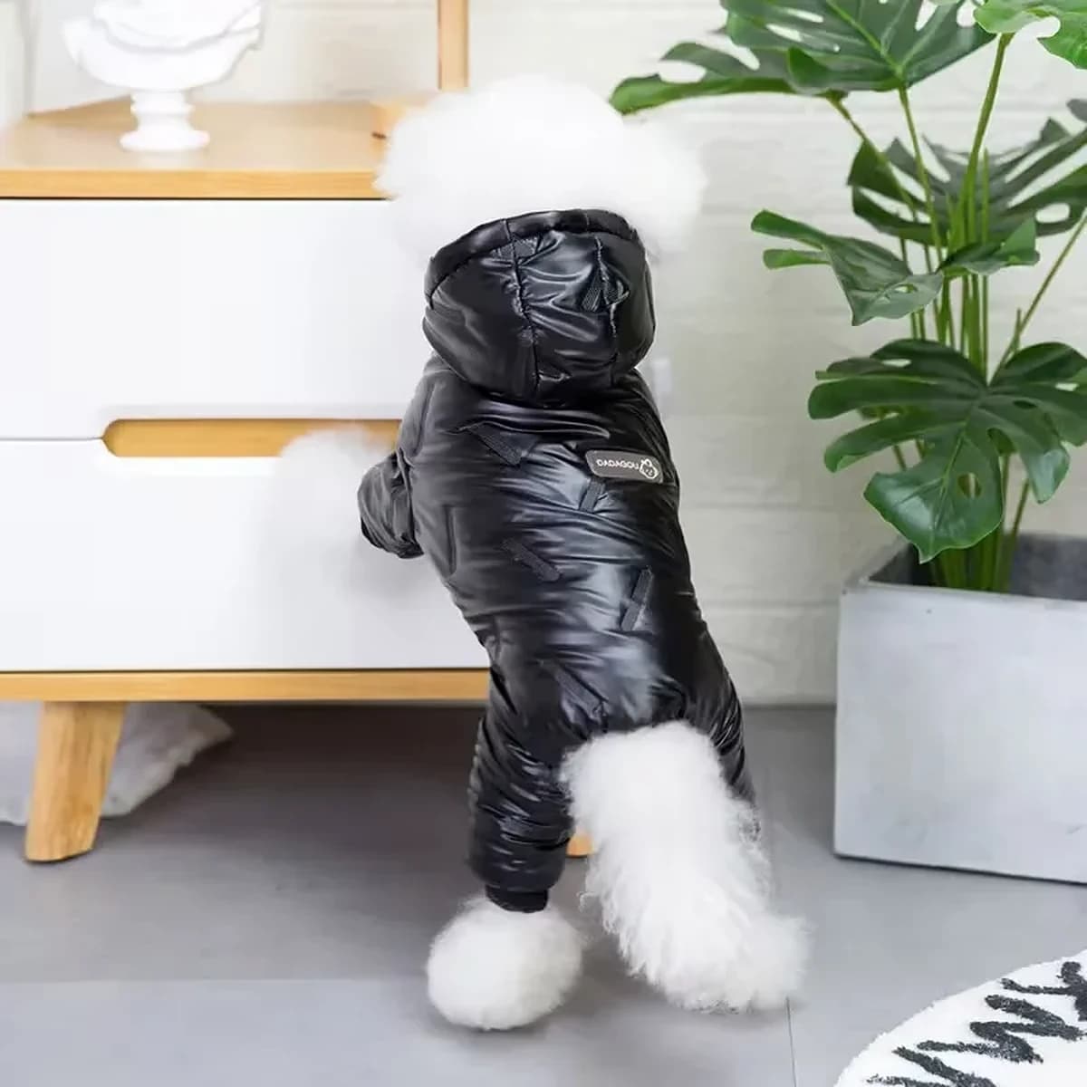 Vodeodolný zimný overal pre psa